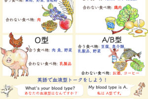 血液型と英語