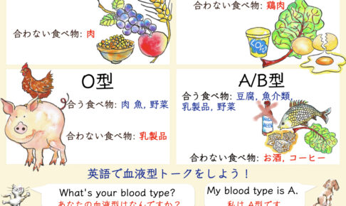 血液型と英語