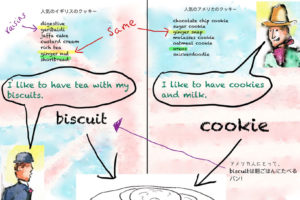biscuits and cookiesの違い