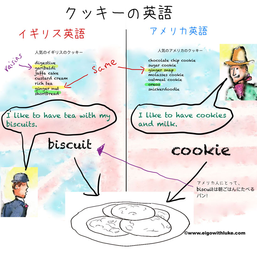 biscuits and cookiesの違い